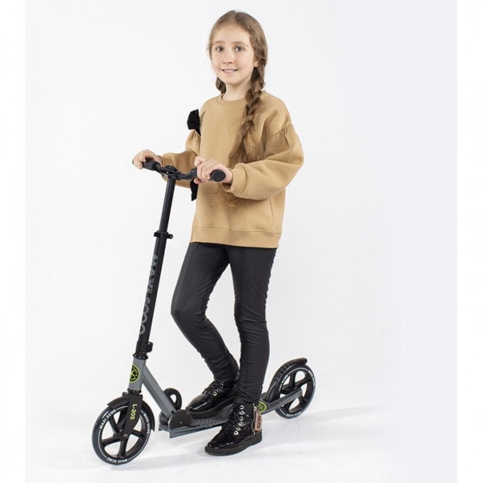 Самокат 2-х колесный MAXISCOO "L-205" (2021), складной, серый MSC-L205-G